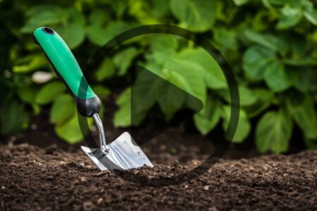 Succession Gardening Image